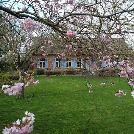Saffels Nest 33 Apart Otel Lochristi